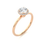 Elegant Halo Moissanite Lab Diamond Vermeil Ring