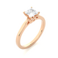 Princess Cut Moissanite Lab Diamond Vermeil Engagement Ring
