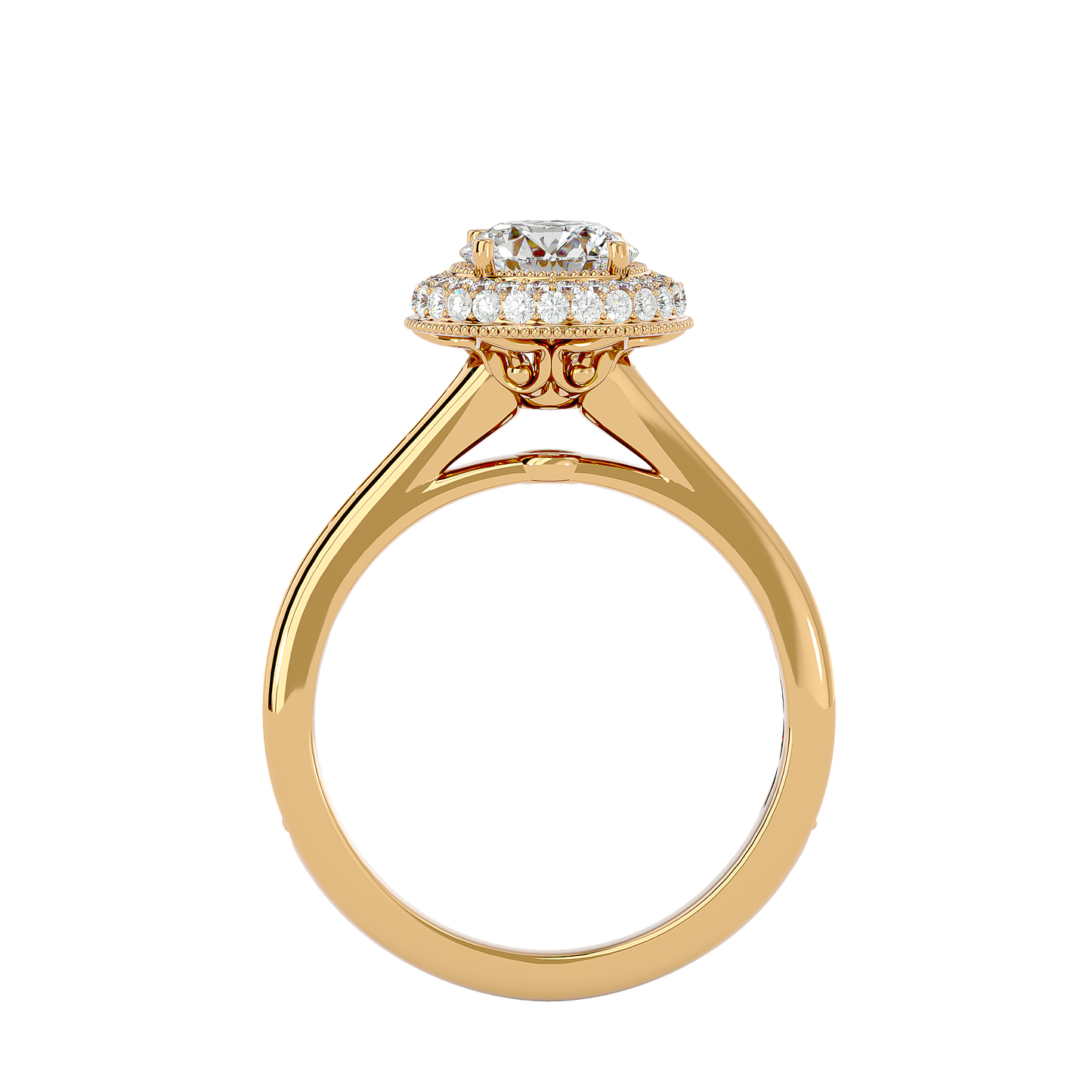Vermeil Round Moissanite Lab Diamond Double Halo Ring