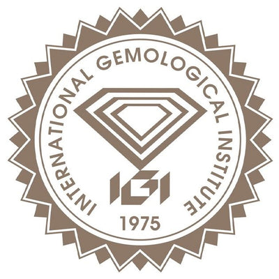 igi logo
